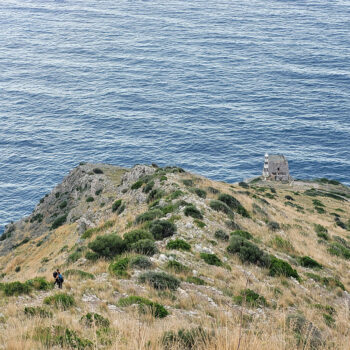 Punta campanella